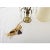 French 19th Century Petite Brass and Crystal Table Lamp For Sale In Baton Rouge - Image 6 of 8