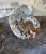 Industrial Vintage Ammonite Fossil Shell Catchall Dish For Sale - Image 3 of 6