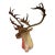 Vintage Caribou Taxidermy Mount – Impressive Oversized Antler Rack For Sale