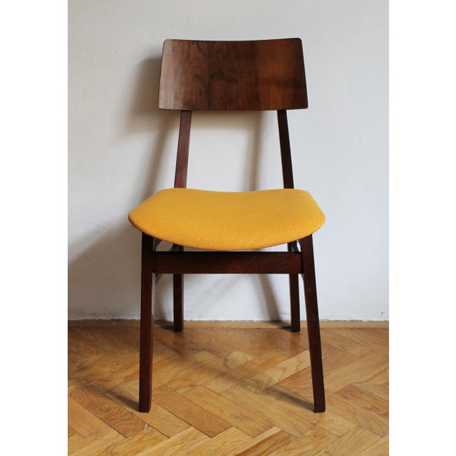 Mid-Century Scandinavian-Style Dining Chair in Walnut, 1960s For Sale - Image 9 of 17