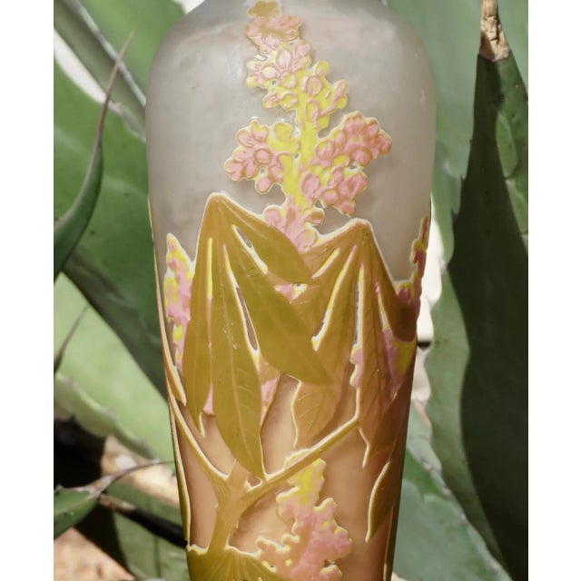 1900 - 1909 Emile Galle Tall Cameo Art Nouveau Vase 1904 For Sale - Image 5 of 8