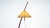 Mid-Century Dornstab Model 2076 Floor Lamp from J.T Kalmar, Austria, 1950s For Sale - Image 15 of 18