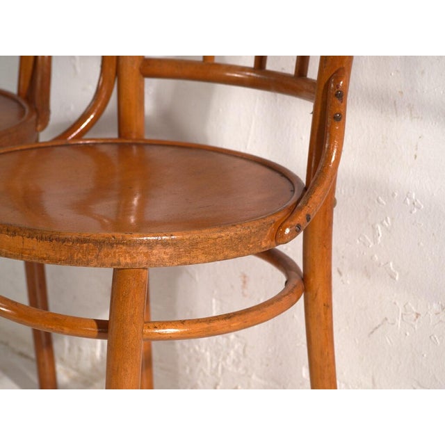 Bentwood Chairs in the style of Thonet, Central Europe, 1930, Set of 4 For Sale - Image 16 of 18
