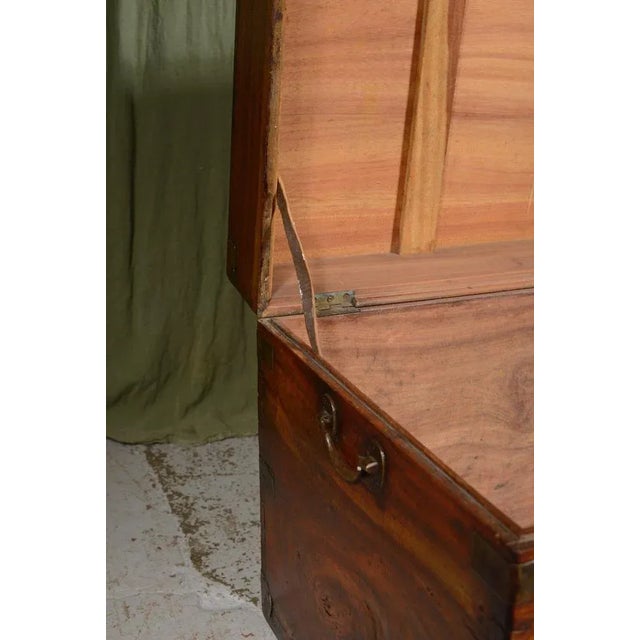 Gold Large Double Lock Camphor Wood Campaign Chest, 1850s For Sale - Image 8 of 12