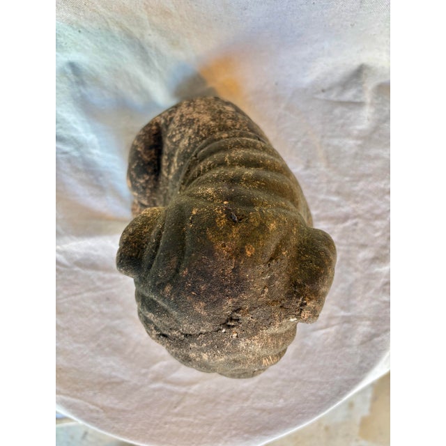 Black Early 20th Century French Terracotta Bulldog Garden Sculpture For Sale - Image 8 of 13