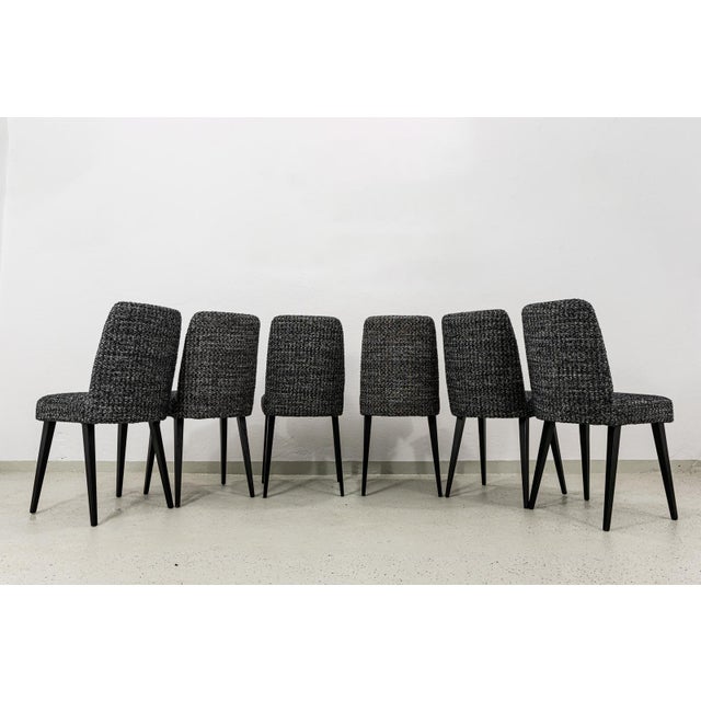 Vintage Dining Chairs, Poland, 1960s, Set of 6 For Sale - Image 4 of 16