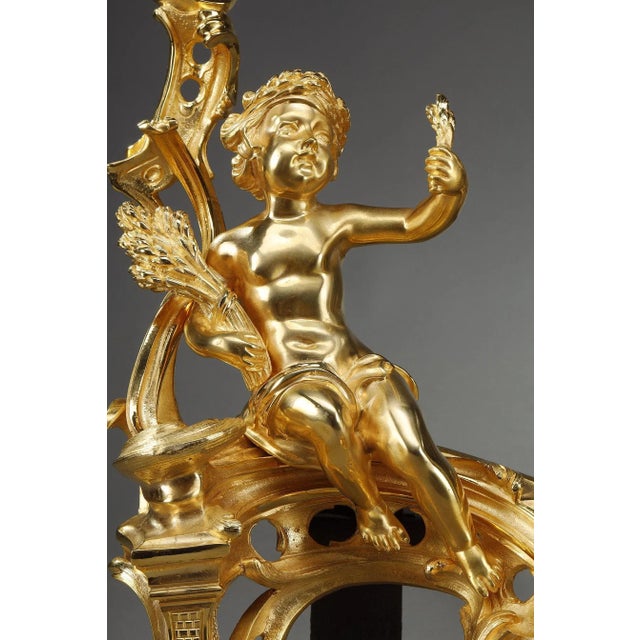 Louis XV Style Andirons in Gilt Bronze, Set of 2 For Sale - Image 12 of 18