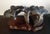 Large Chinese crouching beast gongshi, a large, heavy, horizontal, viewing stone, in blacks, greys, oranges and umbers,...