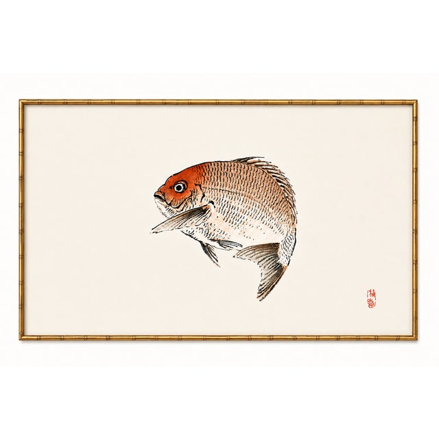 Not Yet Made - Made To Order Tai (Red Seabream) by Kōno Bairei, Vintage Japanese Woodblock Print Reproduction, 24" X 16" For Sale - Image 5 of 9