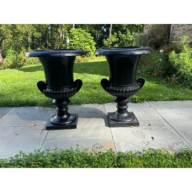 Late 20th Century Cast Iron Haddo House Urns - A Pair For Sale In Philadelphia - Image 6 of 13