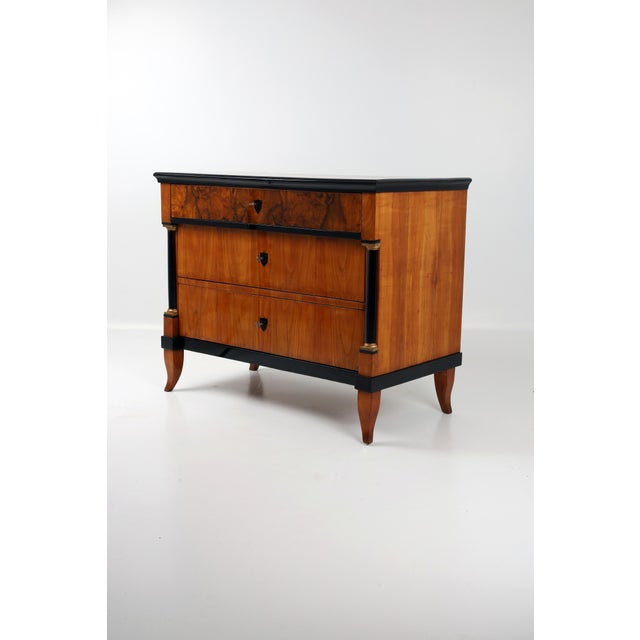 Tan Biedermeier Chest of Drawers in Cherry Wood, 1820 For Sale - Image 8 of 18