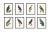 What a charming set of colorful parrots! Remastered from the original plates from the Naturalist specimen book 'Histoire...