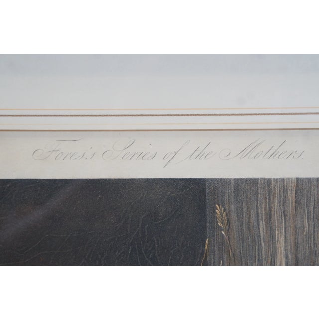 Mid 19th Century 1854 Victorian Engraving Duck & Ducklings Fores Series of Mothers Jf Herring 20" For Sale - Image 5 of 12