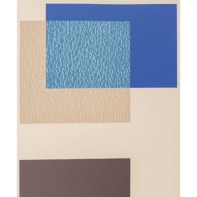 Josef Albers Josef Albers the Interaction of Color Plate Ix-3 For Sale - Image 4 of 6