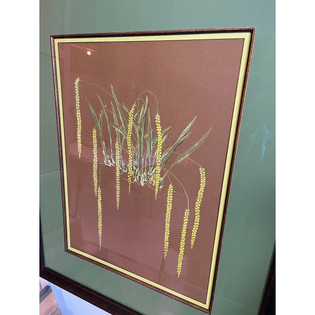 Original Botanical Pastel - Framed- Unsigned -Large For Sale - Image 6 of 13