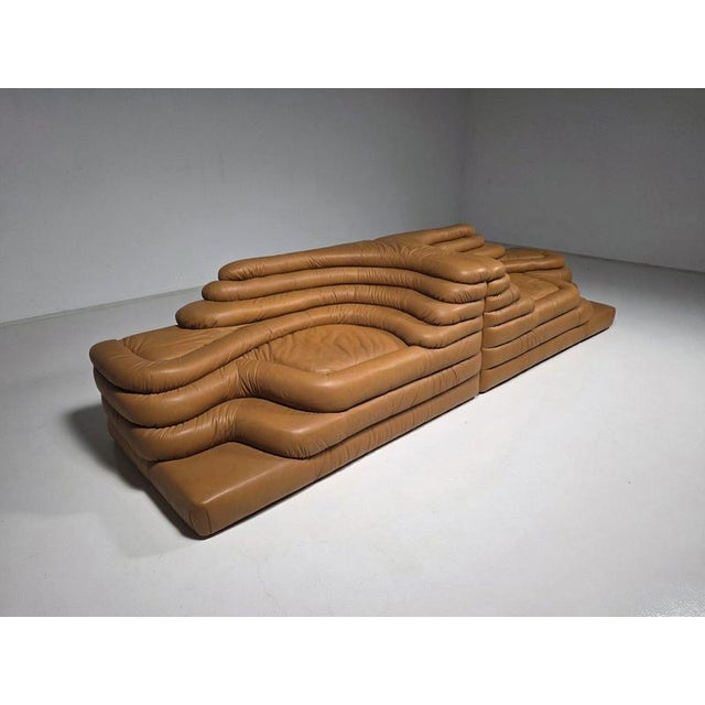 A set of two ds-1025 terrazza landscape sofa elements in light cognac leather, by ubald klug for de sede in the 1980s. The...