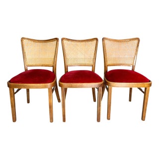A811/1 Chairs in Corduroy by Josef Hoffmann for Thonet, 1951, Set of 3 For Sale