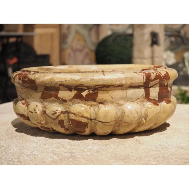 Italian Small Italian Beige and Burgundy Marble Lobed Basin or Vide Poche For Sale - Image 3 of 11