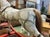 Early 20th Century English Rocking Horse For Sale - Image 9 of 12