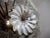 Mid-Century Modern Sputnik Murano Italian Chandelier 51 Daisy Crystal Glass For Sale - Image 3 of 9