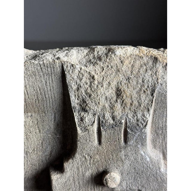 Carved Stone Fragment Medusa, 18th Century For Sale - Image 11 of 14