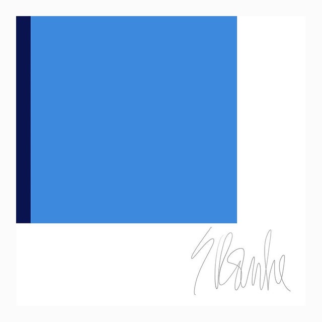 Not Yet Made - Made To Order Color's Cooperation No. 2 Fine Art Print 16" X 20" by Liz Roache For Sale - Image 5 of 7