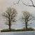 Michael John Hill Oil on Board Painting, Winter Morning Landscape For Sale - Image 4 of 7