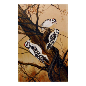 Downey Woodpeckers Painting by Jerry Weers