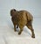 1910s Antique Early 1900's Original Hubley Cast Iron Sheep Lamb Still Coin Bank For Sale - Image 5 of 12