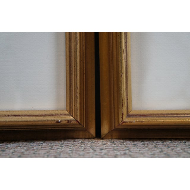 Green Set of 2 Italian Fiorenza Floral Botanical Stramonia Cinera Cum Flore Colored Etchings For Sale - Image 8 of 10