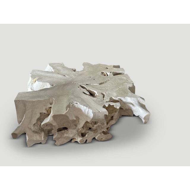 Andrianna Shamaris Monumental Bleached Teak Wood Organic Root Coffee Table For Sale - Image 10 of 18
