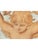 18th Century Italian Devotional Painted Tapestry For Sale - Image 15 of 18