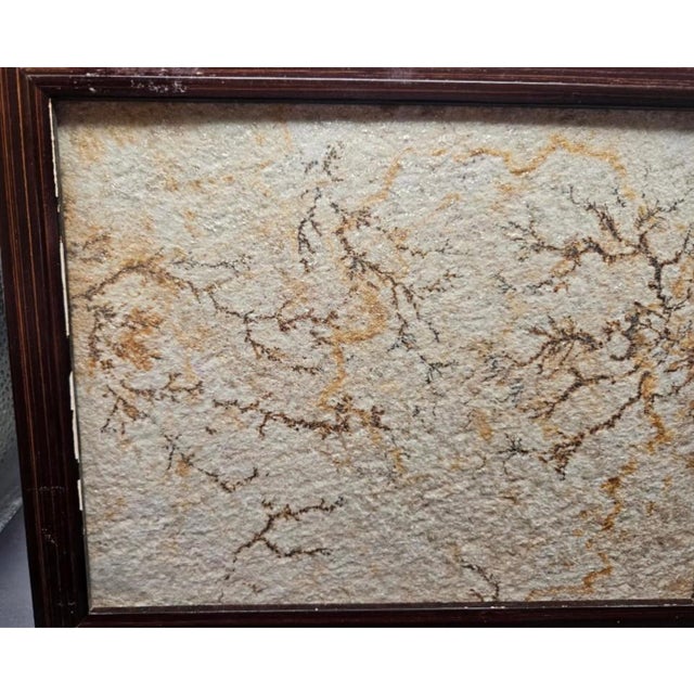 Antique Brazilian Sandstone Framed Plaque Dendrite Fossil Ferns Miniature Geologic Fern For Sale - Image 14 of 14