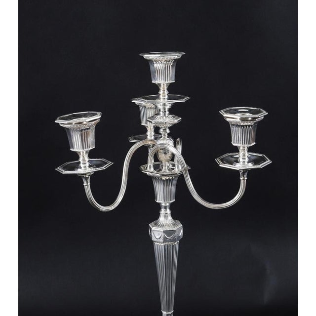 Antique Silver Plated Four Light Candelabra by Hawksworth, 19th Century, Set of 2 For Sale - Image 4 of 17