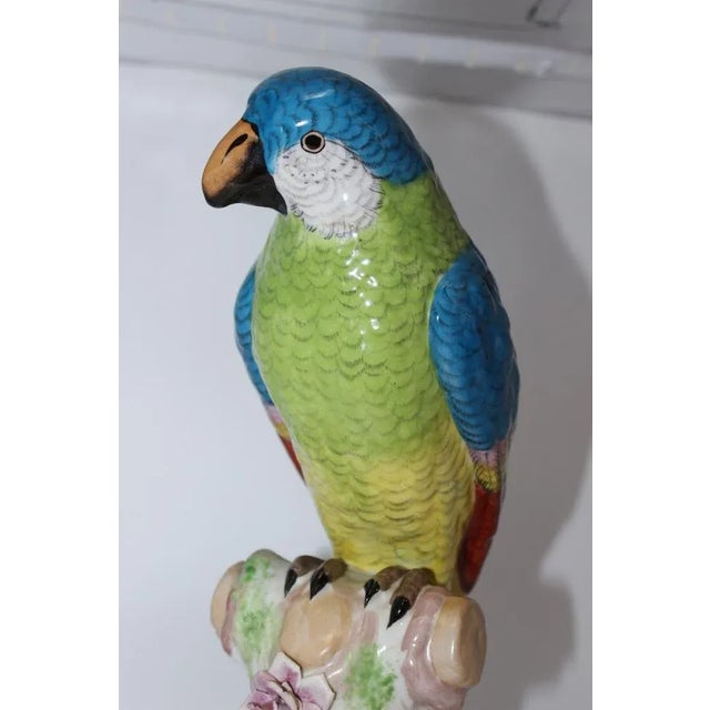 Porcelain Parrot in the style of Meissen, 20th Century For Sale - Image 6 of 12