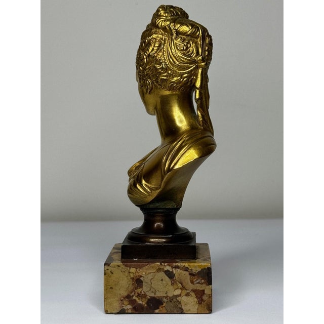 Late 19th Century Bronze Small Portrait Bust of Diana De Poitiers, After Jean-Antoine Houdon For Sale - Image 14 of 18