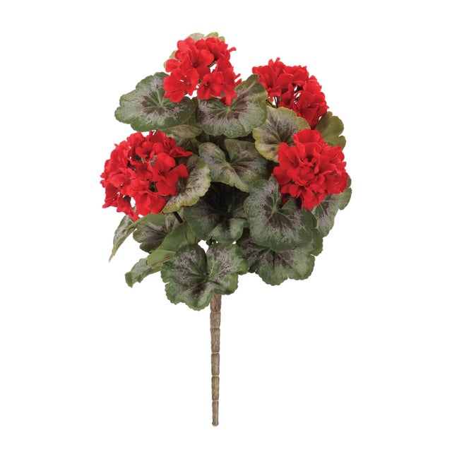 Brighten your space with the classic beauty of this Red Geranium Bush. Featuring vibrant clusters of bold red geranium...