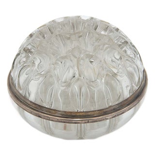 Circular Glass Planter with Silver Accents For Sale
