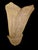 Gold Leaf Murano Sconces by Barovier and Toso, Italy, 1980s, Set of 2 For Sale - Image 4 of 9