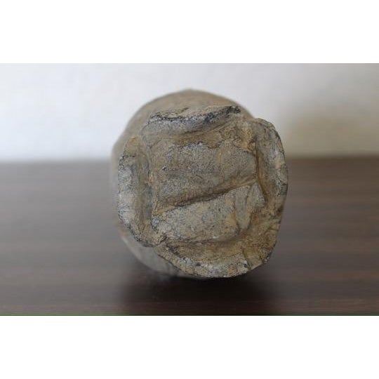 Tan 15th Century & Earlier Authentic Northern Wei Buddha Head Fragment - 8” For Sale - Image 8 of 8