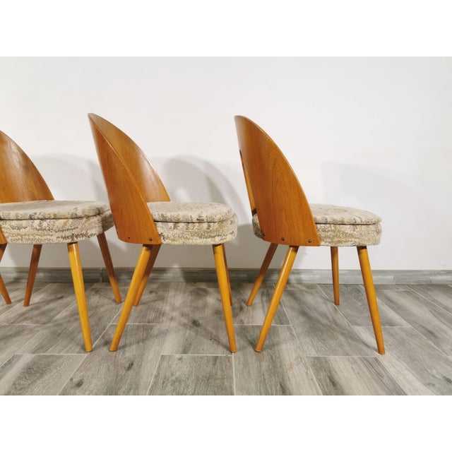 Dining Chairs by Antonin Suman, 1960s, Set of 4 For Sale - Image 14 of 18