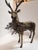 1970s Beautiful Solid Brass Stag Candleabra For Sale - Image 5 of 11