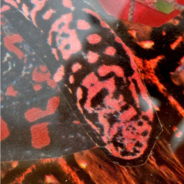 1990s Abstract Collage Art in Tones of Red by Bill Allan, 1990s For Sale - Image 5 of 6