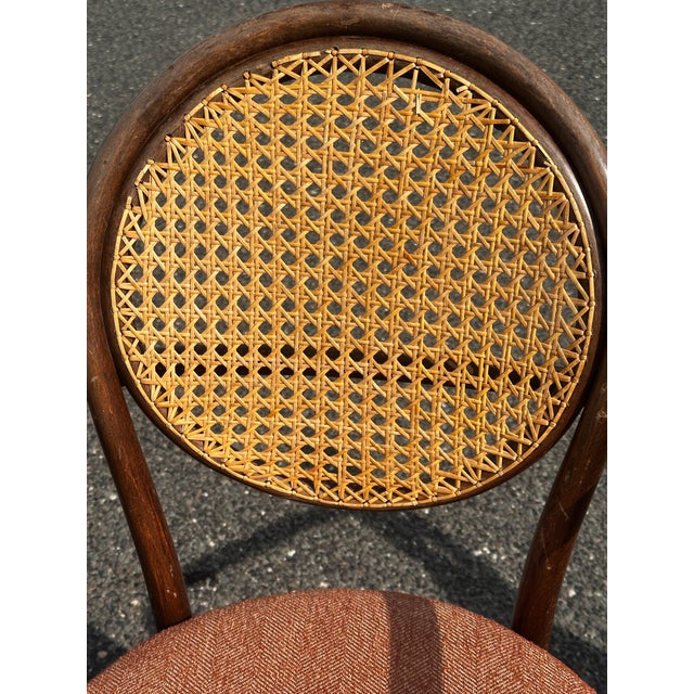 Thonet 1950s Radomsko Cane Back Bentwood Dining Arm Chairs Set of Four For Sale - Image 4 of 12
