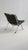 Mid-Century Modern 1960s Arne Norell Ari Lounge Chair by Norell Möbel Ab For Sale - Image 3 of 6