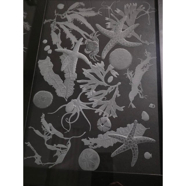 Black metal coffee table with four hand engraved glass panels. Each panel shows a mix of sea life elements including sea...