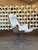 DUX 1960s "Jetson" Chair by Bruno Matthson for Dux of Sweden For Sale - Image 4 of 12
