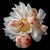 A hyper-detailed botanical study of a peony in full bloom, its porcelain-white petals streaked with coral and blush,...