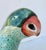 Early 20th Century Chinese Ceramic Parrots - A Pair of 2 For Sale In New York - Image 6 of 8