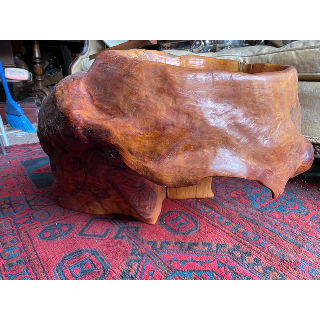 Abstract Free Form Burled Wood Sculpture Plant Stand Modern For Sale - Image 11 of 12